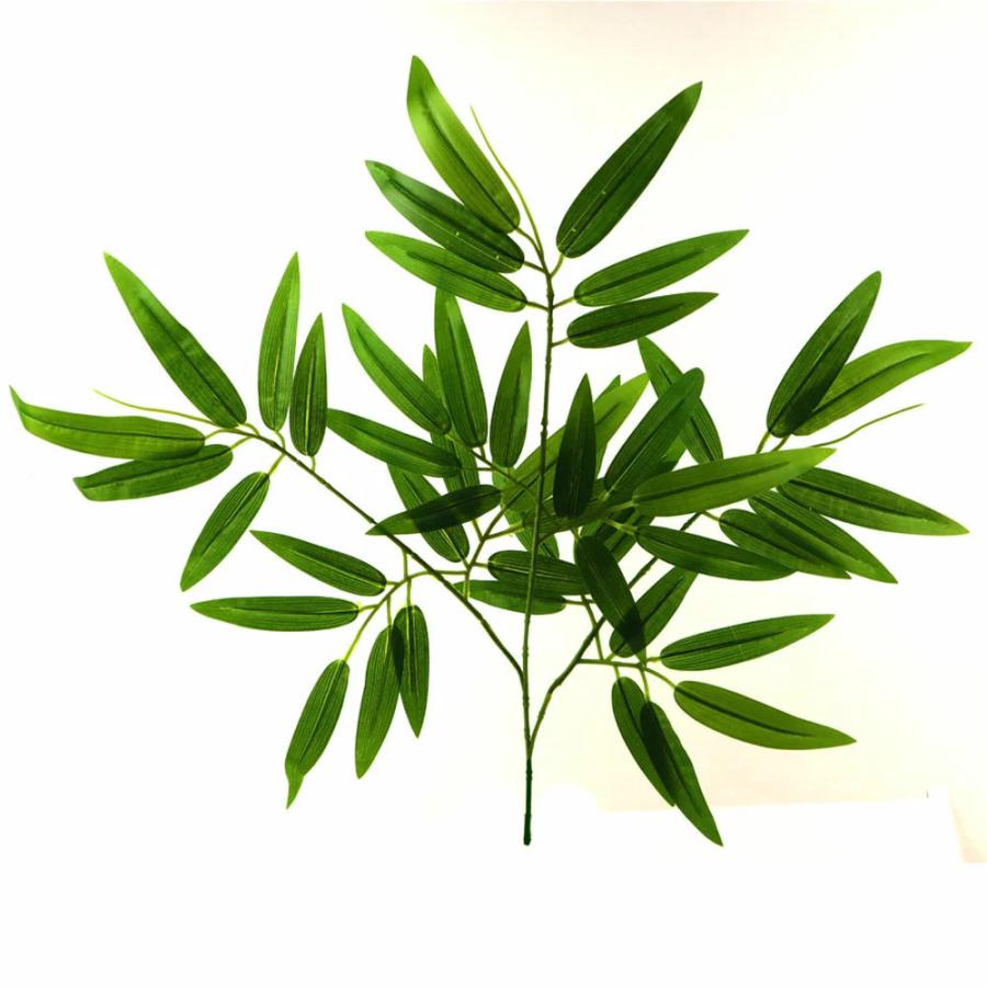 笹 葉太 七夕用笹 1本 約60 65ｃｍちょっとした雰囲気づくり 夏のデイスプレイに最適 Kbi N 005 Boon Square 陽気な広場 通販 Yahoo ショッピング