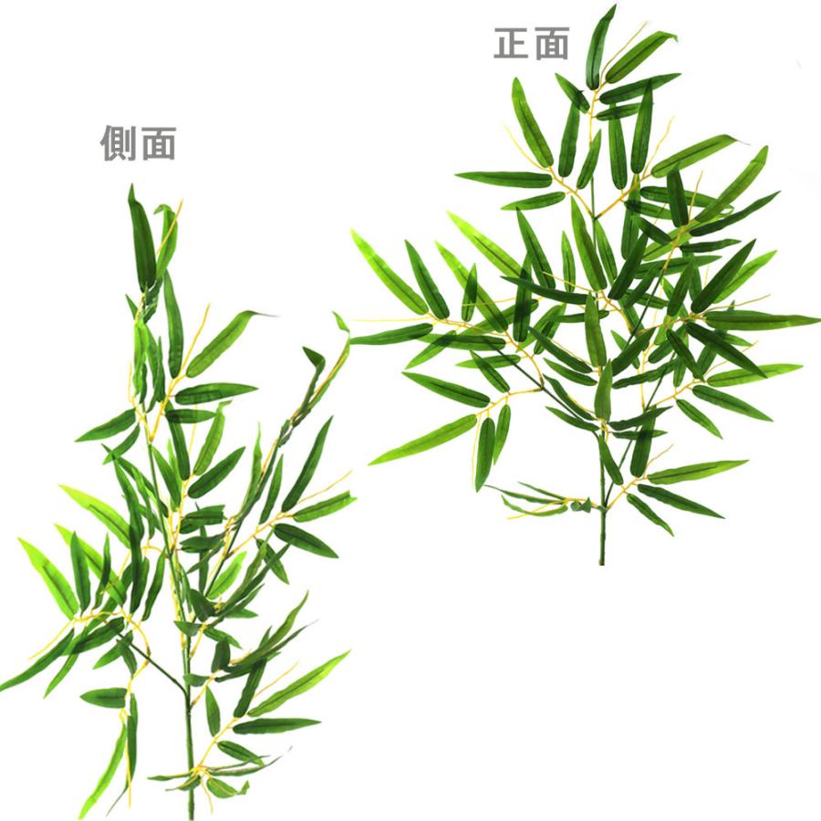笹 葉細 七夕用笹 1本 約63 68ｃｍちょっとした雰囲気づくり 夏のデイスプレイに最適 Kbi N 008 Boon Square 陽気な広場 通販 Yahoo ショッピング