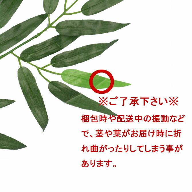 七夕用笹 1本（小）幅約30cmx長さ約45cmちょっとした雰囲気づくり