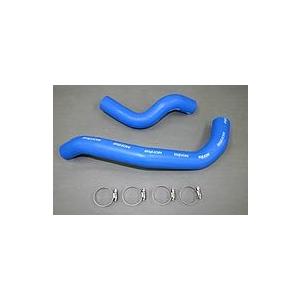 BILLION(ビリオン) スーパーソリッドクーラントライン ニッサン スカイラインＧＴ−Ｒ (BCNR33) BWL-07