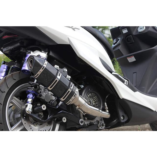 蒼盾 ページ 19~BW'S125 PURESPORT 