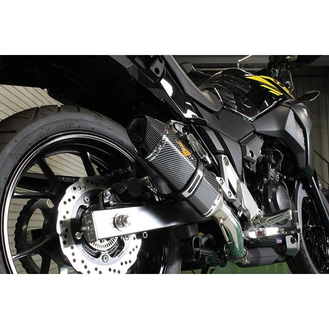 Valiente（バリエンテ） カーボンマフラー スズキ Vストローム250/ABS