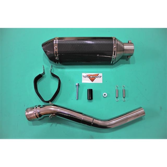 Valiente（バリエンテ） カーボンマフラー ヤマハ TT250R (4GY