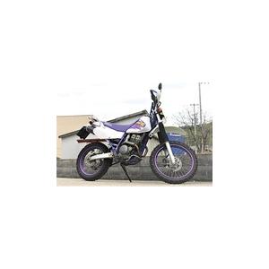 Valiente（バリエンテ） カーボンマフラー ヤマハ TT250R (4GY