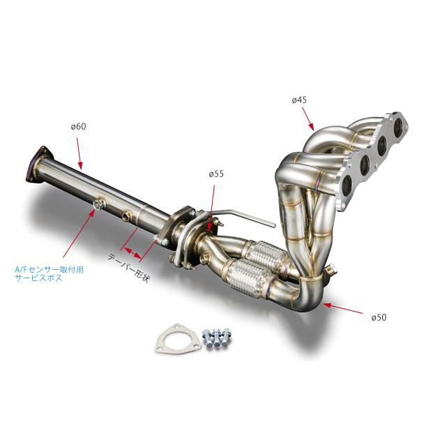 パピリオブッダ（1オス、インド・ニルギリ産） 京都府立植物園 見ごろの植物情報 平成22年1月29日温室解説編