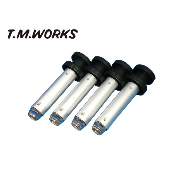 T.M.WORKS T.M.WORKS Ignite REV FIAT パンダ ABA-13909 (312A2) (13/6