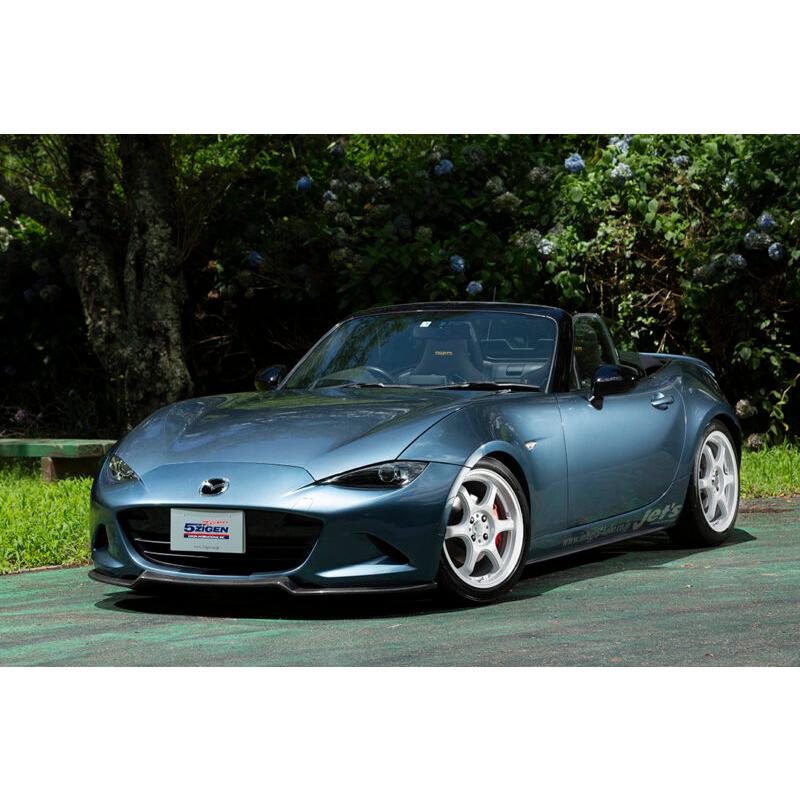 5ZIGEN ProRacer CANNONBALL(プロレーサーキャノンボール) 17インチ