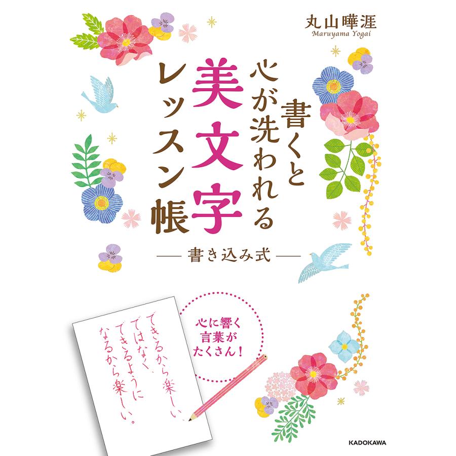 毎日クーポン有 書くと心が洗われる美文字レッスン帳 書き込み式 丸山曄涯