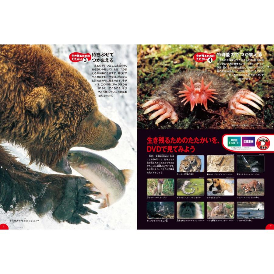 毎日クーポン有 学研の図鑑live ２ トレンド 動物 今泉忠明