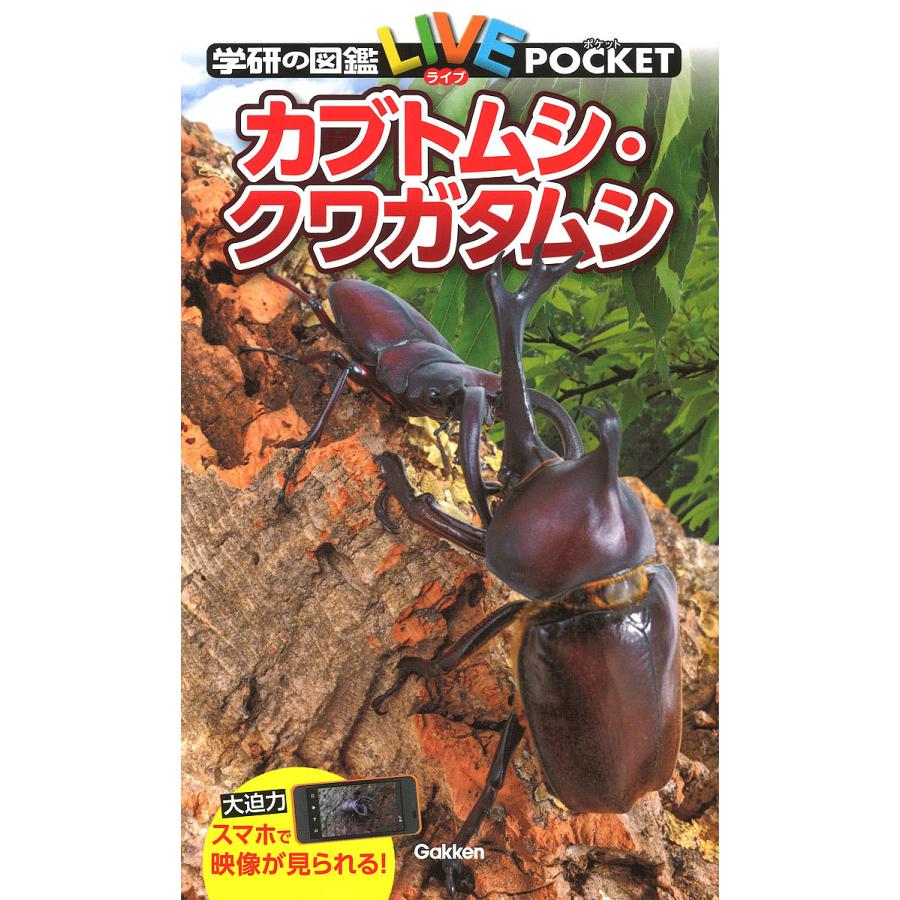 毎日クーポン有 学研の図鑑live Pocket １０ カブトムシ クワガタムシ Geelongcommercial Com Au