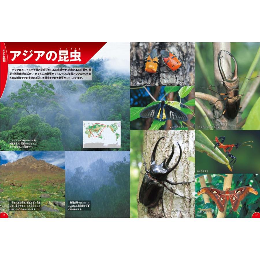 未使用 毎日クーポン有 世界の昆虫 岡島秀治 日時指定