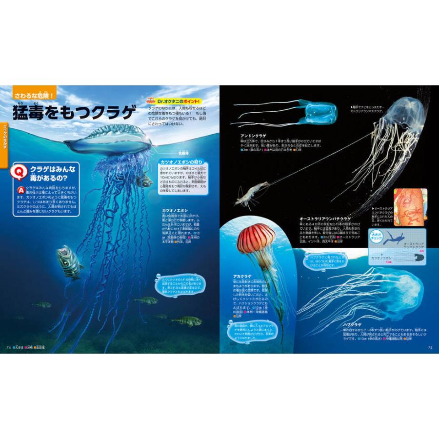 開店記念セール 毎日クーポン有 水の中の生きもの 奥谷喬司 お買得