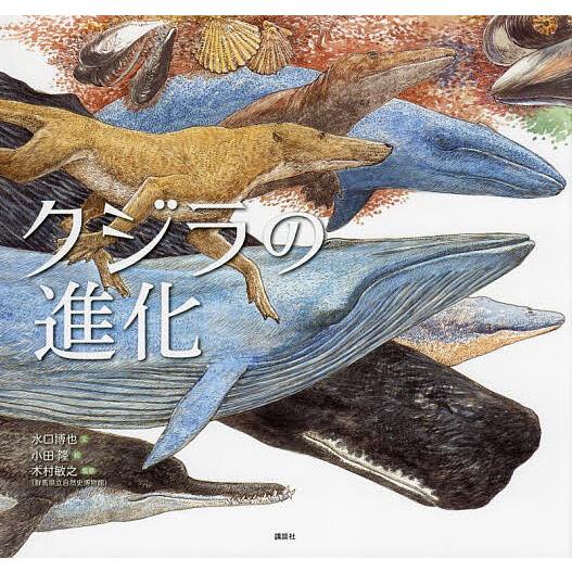 クジラの進化/水口博也/小田隆/木村敏之 : bookfan - 通販 - Yahoo