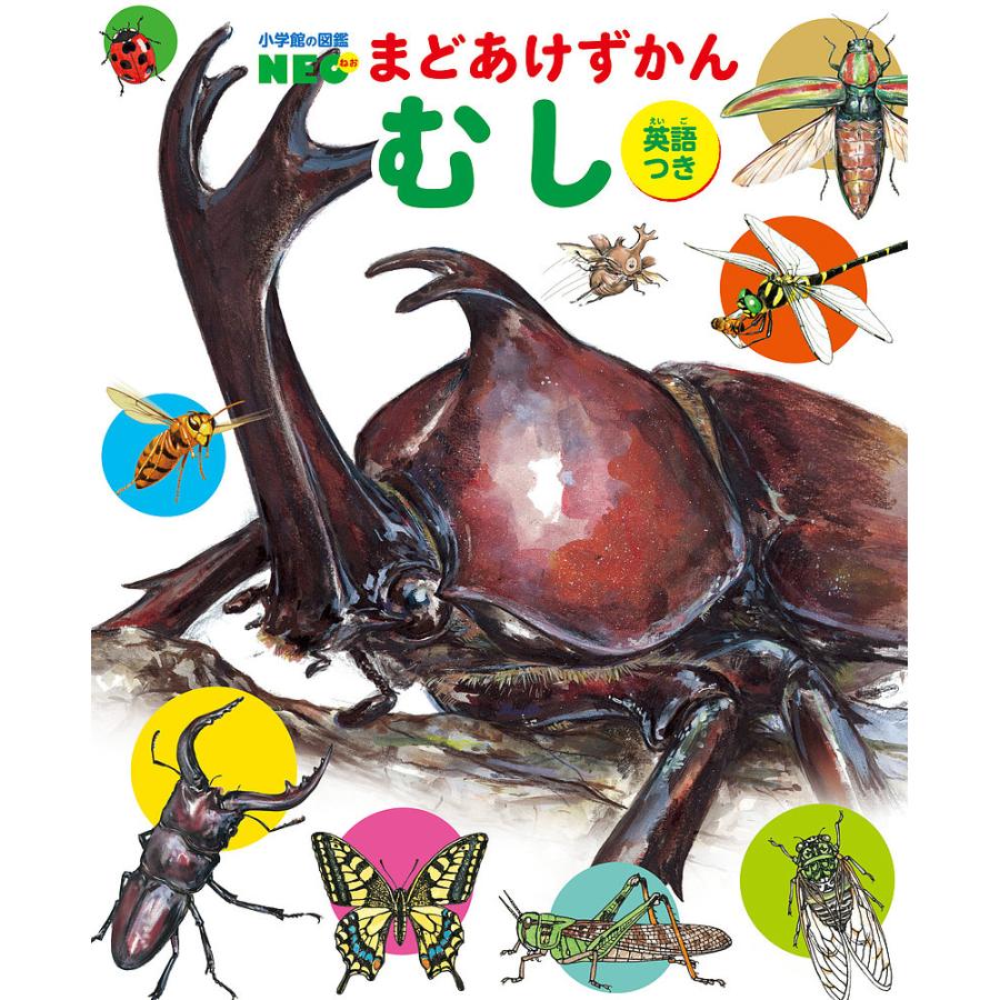 毎日クーポン有 小学館の図鑑neo まどあけずかん むし 英語つき じゅ