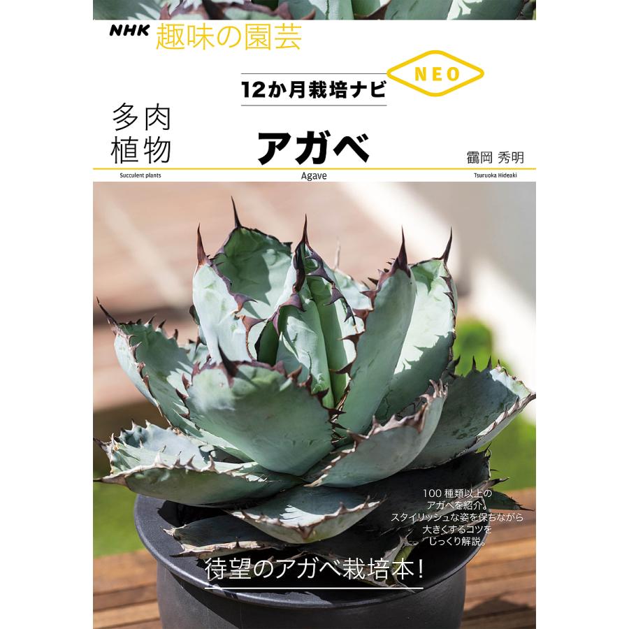 毎日クーポン有 多肉植物アガベ 岡秀明 Bookfan Paypayモール店 通販 Paypayモール