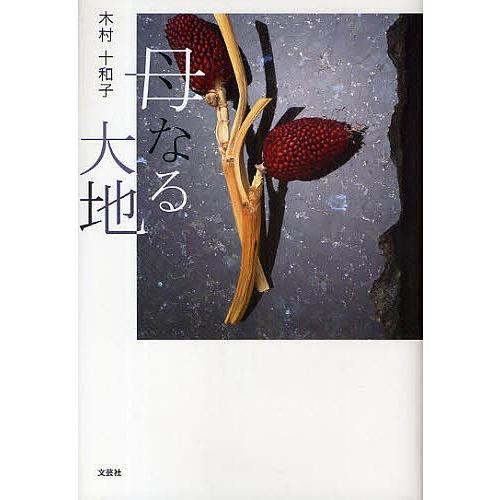 母なる大地/木村十和子 : bookfan - 通販 - Yahoo!ショッピング
