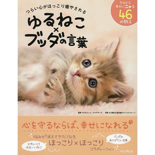 毎日クーポン有 つらい心がほっこり癒やされるゆるねこ ブッダの言葉 アルボムッレ 春の新作シューズ満載 湯沢祐介 スマナサーラ 小川晃代