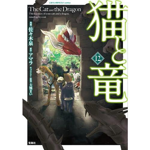 猫と竜 12/佐々木泉/アマラ : bookfan - 通販 - Yahoo!ショッピング