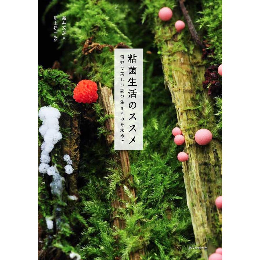 粘菌生活のススメ 奇妙で美しい謎の生きものを求めて 新井文彦 川上新一 Bk x Bookfan 送料無料店 通販 Yahoo ショッピング