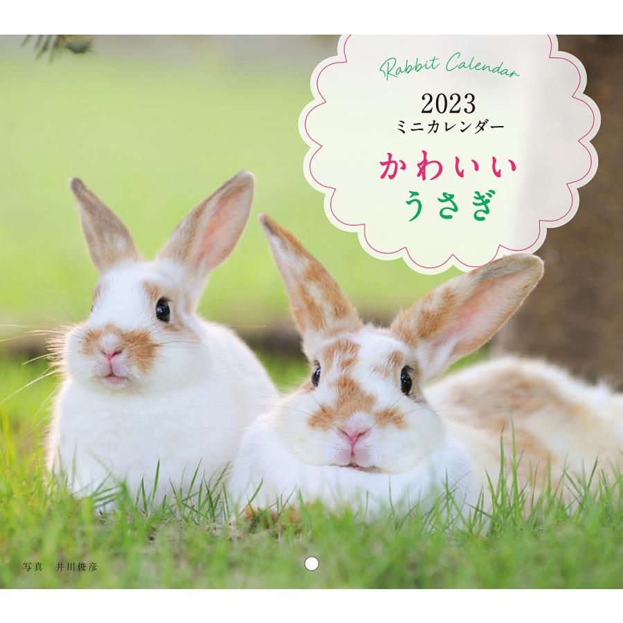 ミニカレンダー 23 かわいいうさぎ 井川俊彦 Bk Bookfan 送料無料店 通販 Yahoo ショッピング