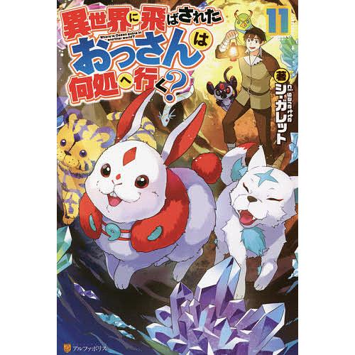 毎日クーポン有 異世界に飛ばされたおっさんは何処へ行く １１ シ