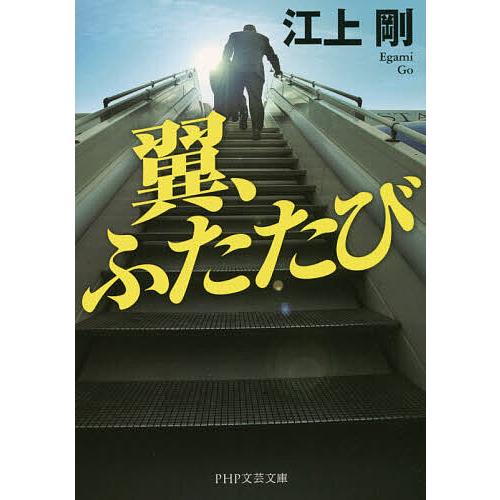 翼、ふたたび/江上剛 | 
