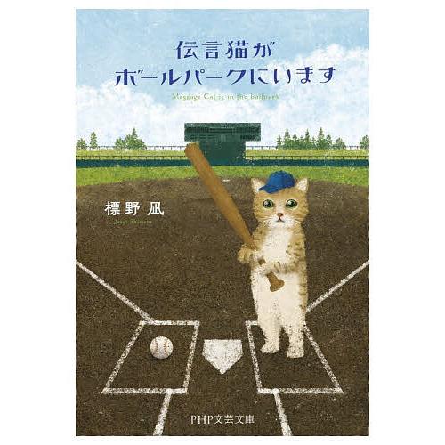 伝言猫がボールパークにいます/標野凪 | 