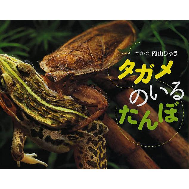 タガメのいるたんぼ 内山りゅう 子供 絵本 Bookfan Paypayモール店 通販 Paypayモール
