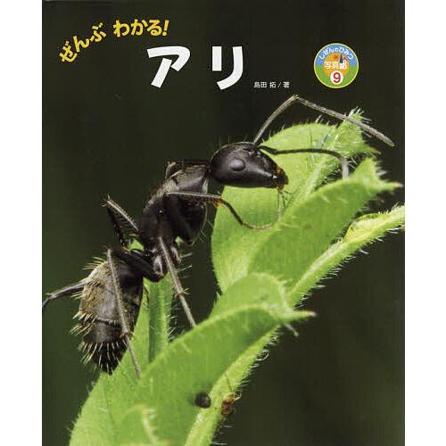 毎日クーポン有 ぜんぶわかる アリ 島田拓 子供 絵本 Bookfan Paypayモール店 通販 Paypayモール