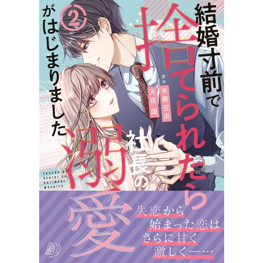 結婚寸前で捨てられたら社長の溺愛がはじまりました 2/未華空央/天夜葎 
