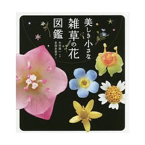 毎日クーポン有 美しき小さな雑草の花図鑑 大作晃一 多田多恵子 お金を節約