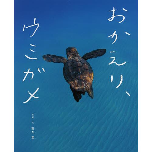 注目ブランド 毎日クーポン有 おかえり ウミガメ 高久至 子供 絵本 新入荷 流行