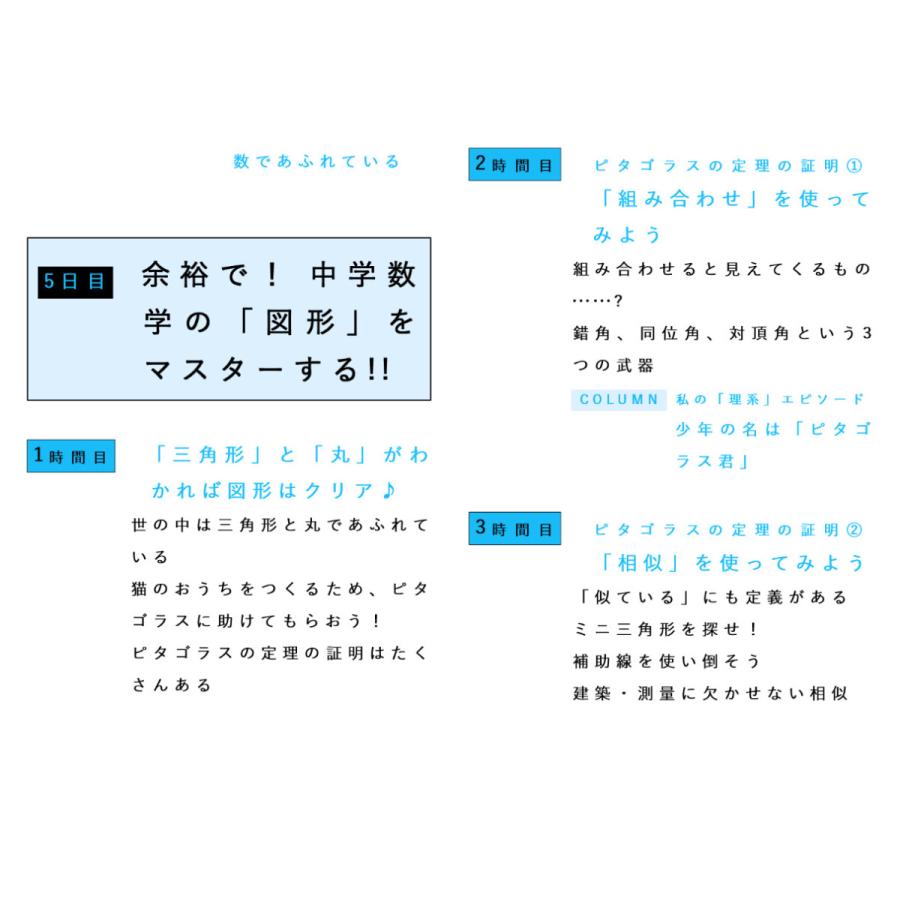 東大の先生!文系の私に超わかりやすく数学を教えてください!/西成活裕  