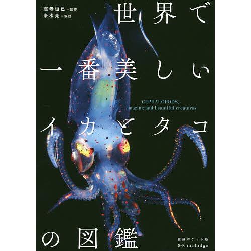 日曜はクーポン有 世界で一番美しいイカとタコの図鑑 愛蔵ポケット版 Bookfan Paypayモール店 通販 Paypayモール