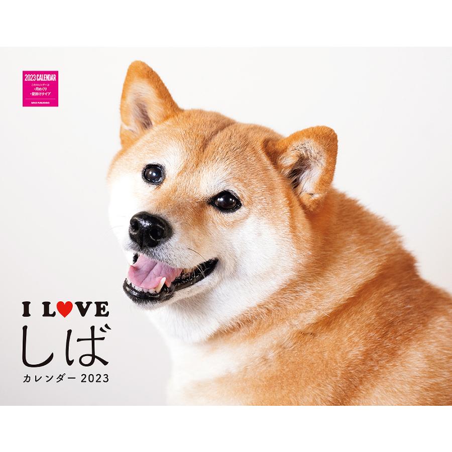 残りわずかです 柴犬 イラスト 23年 年賀状 Jadoreluxe Com Br