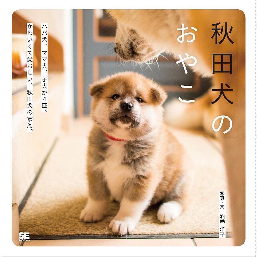 秋田犬のおやこ パパ犬 ママ犬 子犬が４匹 かわいくて愛