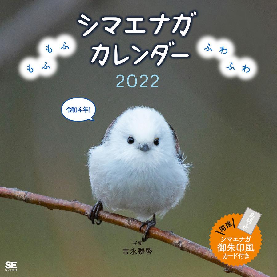 予約 もふもふふわふわシマエナガ カレンダー 上等 ２０２２