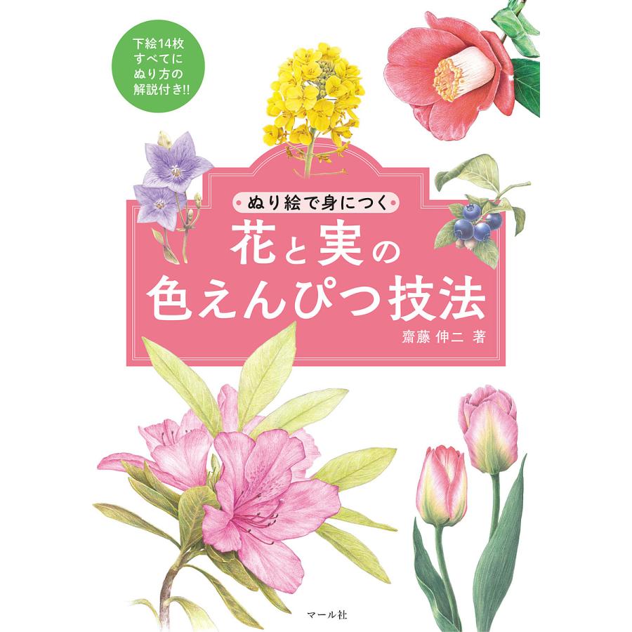 素敵な色えんぴつ画入門 実例で学ぶ描き方のポイント、ぬり方のコツ