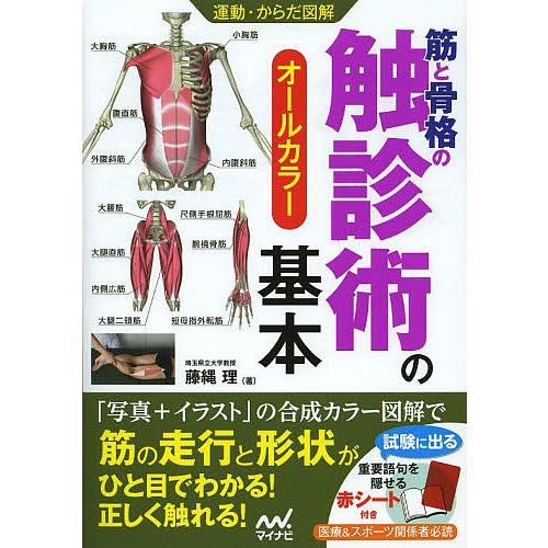 毎日クーポン有 筋と骨格の触診術の基本 着後レビューで 送料無料 オールカラー 藤縄理