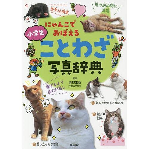 即納送料無料 毎日クーポン有 にゃんこでおぼえる小学生ことわざ写真辞典 深谷圭助 お