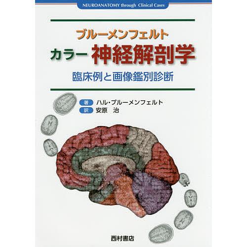 激安単価で 日曜はクーポン有 ブルーメンフェルト カラー神経解剖学 臨床例と画像鑑別診断 ハル ブルーメンフェルト 安原治 全国組立設置無料 Esiba Tg