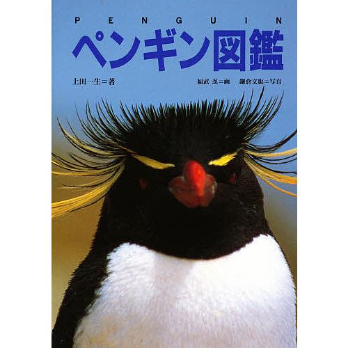 毎日クーポン有 ペンギン図鑑 上田一生