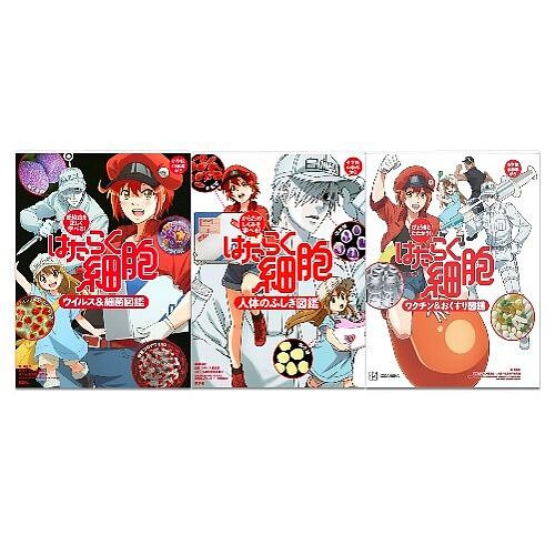 はたらく細胞 図鑑セット 全3巻/講談社 : yf-9784069494550 : bookfan 