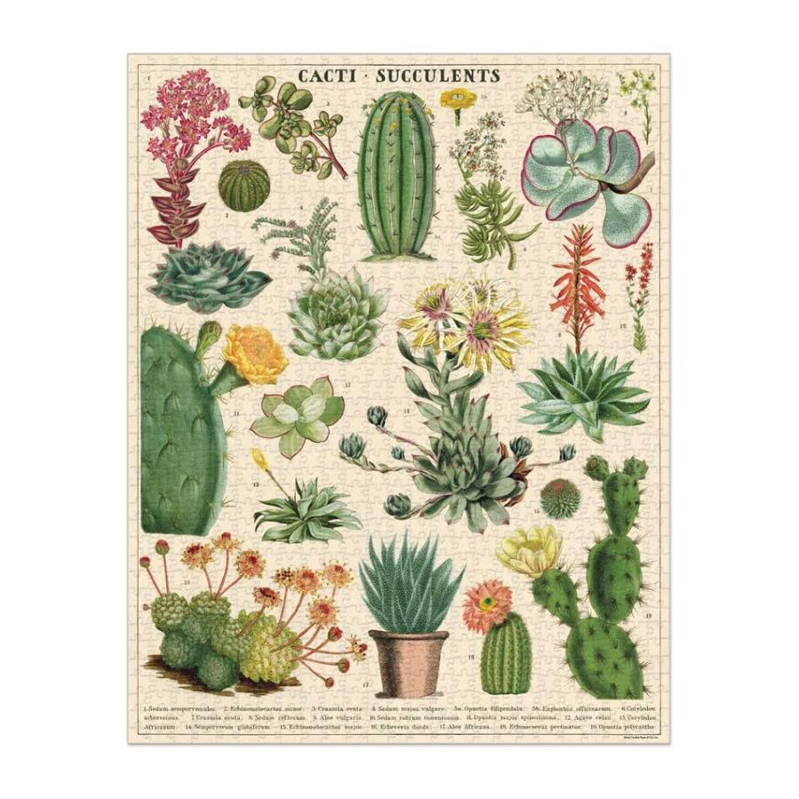 カヴァリーニ　ジグソーパズル　植物 Amazon | Cavallini 1000ピース パズル 観葉植物 (PLZ/HP