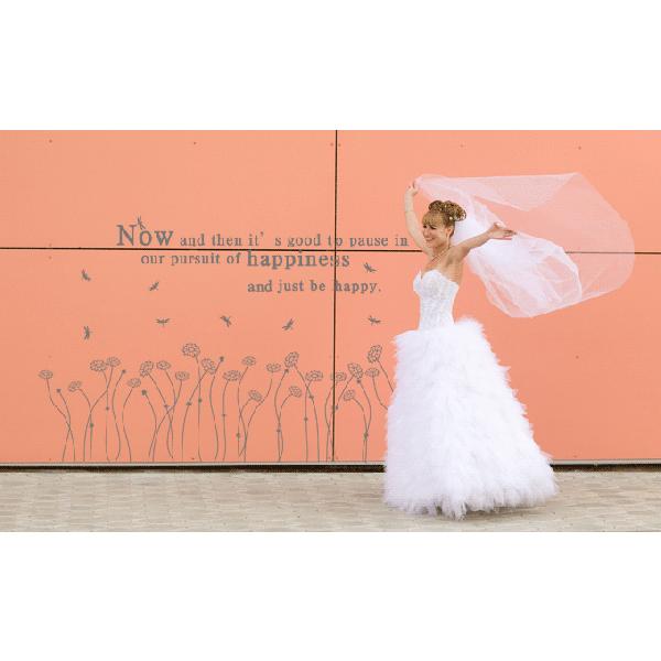 ウォールステッカー 転写式タイプ |  | 05