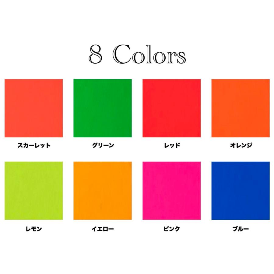 シンロイヒ ルミノデリコンHG 高耐候性 油性蛍光塗料セット スプレーガンタイプ 畳2~2.5枚塗装可 蛍光塗料1kg 上塗用クリアー1kg 希釈シンナー1L |  | 09