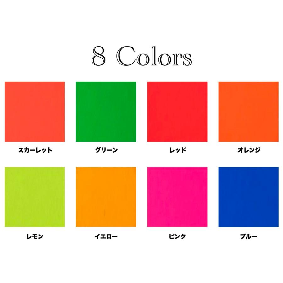 シンロイヒ ルミノデリコンHG 高耐候性 油性蛍光塗料セット スプレーガンタイプ 畳2~2.5枚塗装可 蛍光塗料1kg 上塗用クリアー1kg 希釈シンナー1L |  | 09