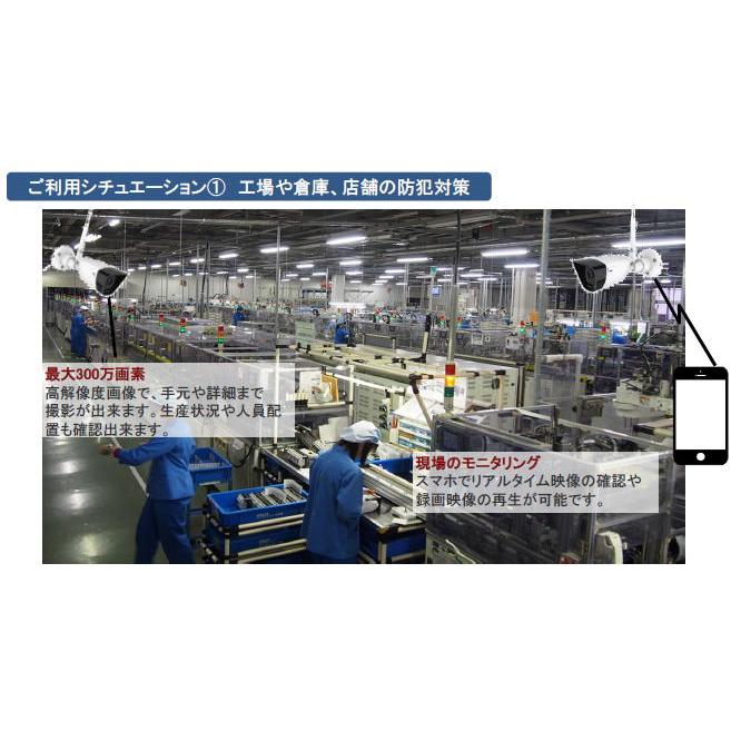 有線/無線LAN対応スマートセキュリティカメラ |  | 09