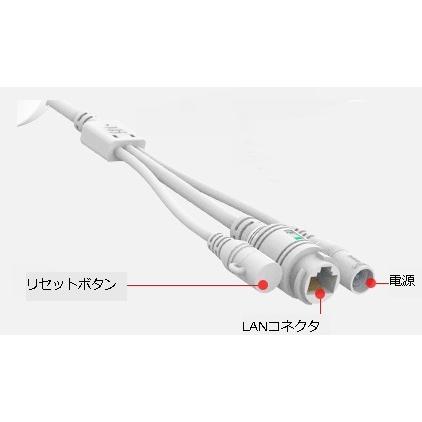 有線/無線LAN対応スマートセキュリティカメラ |  | 06