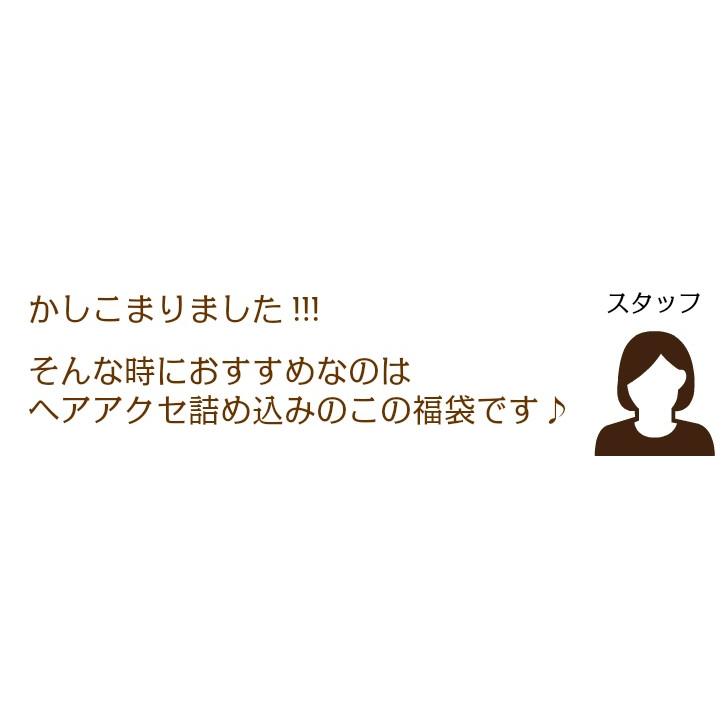 再販決定 在庫限り お得ヘアアクセ千円ポッキリ福袋 /ヘアアクセサリー福袋/人気 子供/ヘアピン/ヘアゴム/ベビー雑貨/入園入学/発表会/子供キッズベビー/女の子 |  | 02